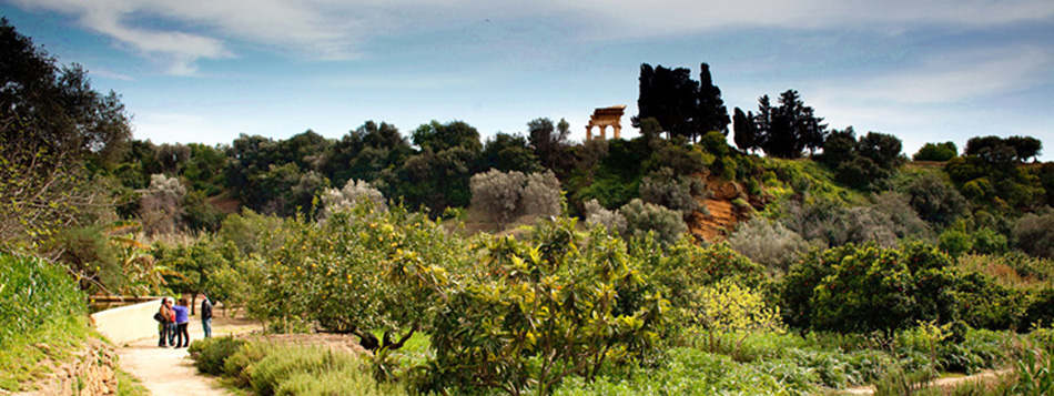 B&B MiraValle Agrigento - Giardino della Kolymbetra