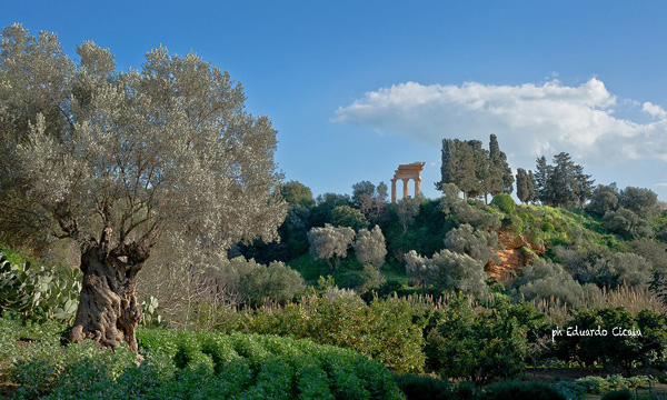 B&B MiraValle Agrigento - Giardino della Kolymbetra